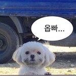 <b>설영우</b> 볼때마다 웃음나옴