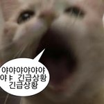 [댓글부탁해] 나 영어학원 선생님인데..10대랑(긴급)