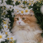 <b>점심</b> 같이 먹어요