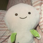 20키로 감량 <b>전후</b>비교