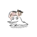 남친 100일 편지 쓰려 했는데