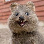 얘<b>도라</b>들어와바…ㅎㅎ