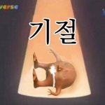 <b>점막</b> 채우면 왜 얼굴