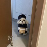 요즘 합격 자체가 어려워진 거 같음