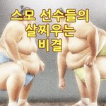 돼지는 슴<b>부심</b>을 심하게 부리는듯