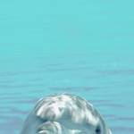 nothin' <b>on</b> you