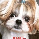 [댓글부탁해] 콘헤드 ㄹㅇ <b>장점</b> 잇음