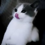 [댓글부탁해] 궁금한게 댄서들도 연예인 사주임??