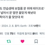 내 인생 추구미 <b>보넥도임</b>