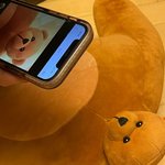 [댓글부탁해] 나 엔믹스 7인 진지하게 응원하고 좋아했었음.. 나만...