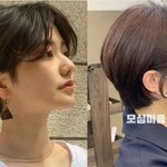 머리 <b>숏</b><b>컷</b>하고싶음