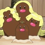 <b>자라나라</b> 머리머리