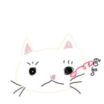 고양이 <b>눈</b> <b>옆</b>에 땜빵남; 어케