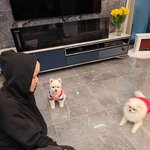 보넥도 <b>리우</b> 위버스 업뎃