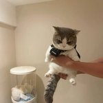 [댓글부탁해] 얘드라 원래 <b>시럽</b>젤 잘 안 말라? ㅠㅠ