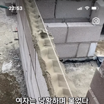나만 이런 <b>릴스</b> 좋아하냐