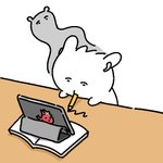 [댓글부탁해] ㅈㅇ) 나 눈썹정리 어떻게 해야 될까