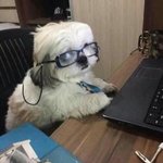 이쓰쓰 <b>음</b><b>침</b>썰 풀어줬으면 조켓다