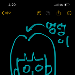 나 <b>정수리</b>에 엉덩이있음