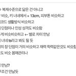 너네 너네랑 닮은 사람 만날 수 있음?