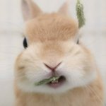 [드루와] 다이어트 전후 손목 차이 보고 갈 사람