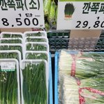 <b>채소값</b>이 이게 맞는거에요?