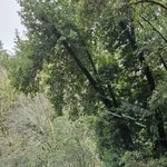 <b>레딧</b>에 공개된 테슬라 사이버트럭 첫 사고 현장