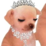 [드루와] 편입으로 지잡에서 인서울 가게됐는데