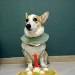 꼬물이 <b>거물</b>이 고고