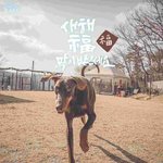 [<b>방탄소년단</b>] 밤이도 보고싶고