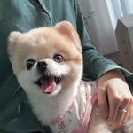 여기 해린 본<b>가임</b>?