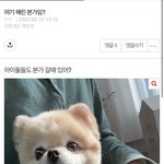 뭔 질문인지 모르겠는 애들 대가리 <b>능지</b> 딸림?