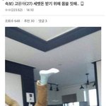 세뱃돈 받으려고 몹쓸<b>짓</b> <b>한</b> 20대