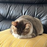 [댓글부탁해] 수학 <b>노베</b> 기준이 뭐야