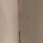 우리집만 곰팡이 조카피냐