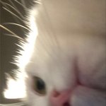 알바썰 풀어<b>보자</b>!!