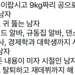 미자시절에 라이즈 쇼타로가 했었던 일