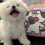 [댓글부탁해] 2주동안 4키로 감량할건데