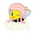 아니 진짜 볼때마다 <b>졸</b><b>귀</b>탱이네ㅋㅋ