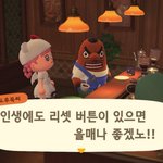 <b>동숲</b> 이 짤 있잖아