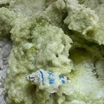 대전 빙수가게에서 <b>말차</b>빙수에 방부제 갈려서 나와서 먹었어요 제2의...