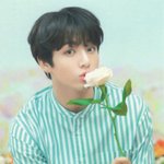 방탄 정국 일본 <b>럽</b>셀콘 미니 포토카드