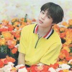 방탄 <b>지민</b> 일본 럽셀콘 미니 포토카드