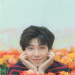 방탄 <b>알</b><b>엠</b> 일본 럽셀콘 미니 포토카드