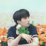 방탄 <b>슈가</b> 일본 럽셀콘 미니 포토카드