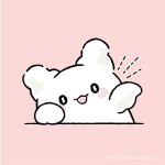 얘 ㅈㄴ귀엽지 않냐