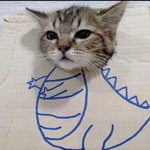 (혐주의) 틱톡보다가 개충격받음