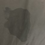 <b>이</b><b>쓰쓰</b> 슬픈썰 읽고있는데