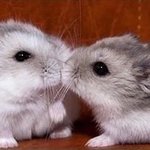얘네 보넥도 <b>운학</b>이랑 명재현 닮아씀