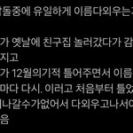 [댓글부탁해] 하 이짤 나랑 내동생같음